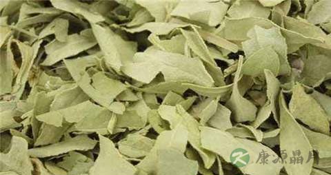 罗布麻叶的药用价值_罗布麻叶的副作用