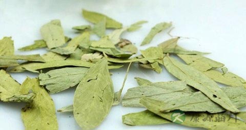 番泻叶的药用价值_番泻叶的副作用