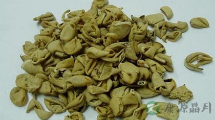 扁豆衣的功效与作用_扁豆衣的药用价值