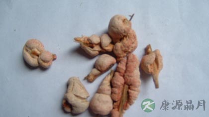 竹黄的功效与作用_竹黄的药用价值