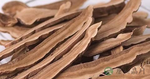 灵芝的药用价值_灵芝的副作用