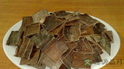 杜仲的功效与作用_杜仲的药用价值