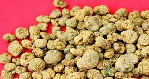 延胡索的药用价值_延胡索的副作用