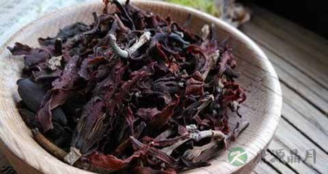 玉兰花的药用价值_玉兰花的副作用