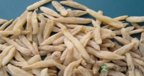 麦门冬的药用价值_麦门冬的副作用
