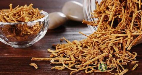 参须的药用价值_参须的副作用