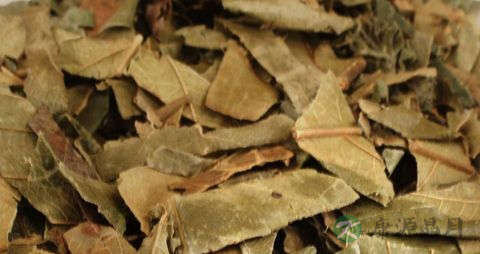 祛痘中草药有哪些