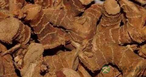 良姜的药用价值_良姜的副作用