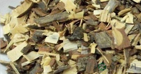 苦楝皮的药用价值_苦楝皮的副作用