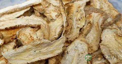 山海螺的药用价值_山海螺的副作用