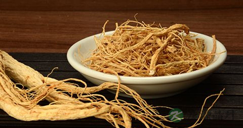 人参须的药用价值_人参须的副作用