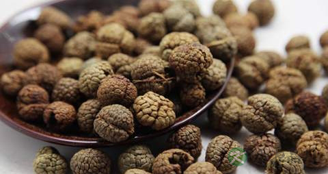 草豆蔻的药用价值_草豆蔻的副作用