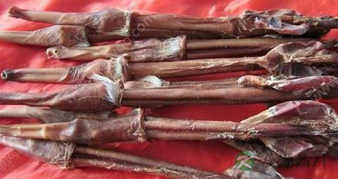 鹿肾的药用价值_鹿肾的副作用
