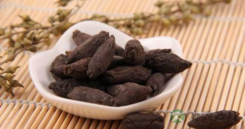 母丁香的药用价值_母丁香的副作用