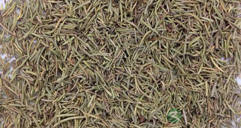迷迭香的功效与作用