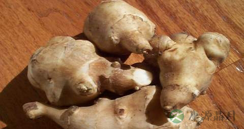 菊芋的药用价值_菊芋的副作用
