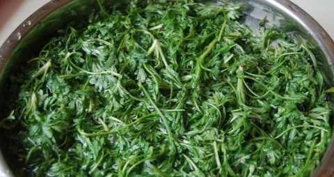 白蒿的功效与作用