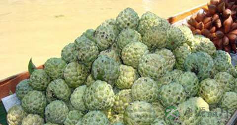 林檎的药用价值_林檎的副作用