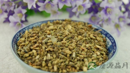 槐花的功效与作用_槐花的药用价值