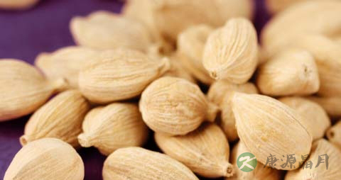 豆蔻的药用价值_豆蔻的副作用