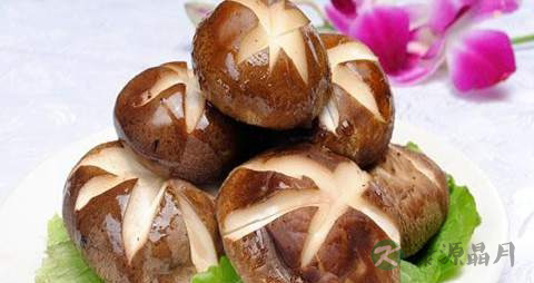 冬菇的功效与作用