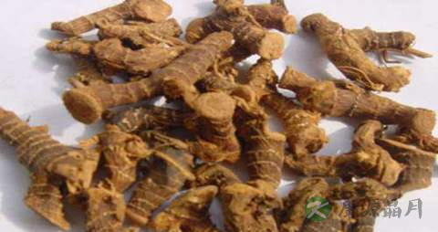 高良姜的药用价值_高良姜的副作用