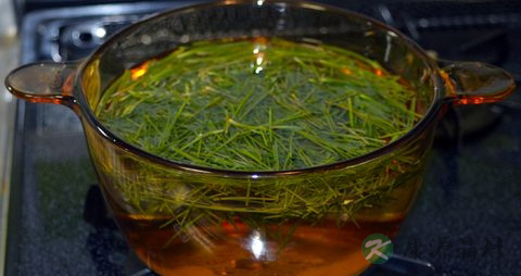 松针茶的副作用