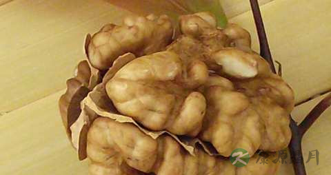 核桃仁的药用价值_核桃仁的副作用