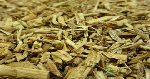 薏苡根的药用价值_薏苡根的副作用