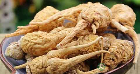 健身可以吃玛卡吗
