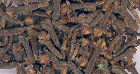 丁香的药用价值_丁香的副作用