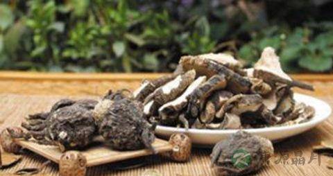 多大的小孩可以吃玛卡