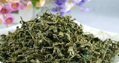 罗布麻叶的药用价值_罗布麻叶的副作用