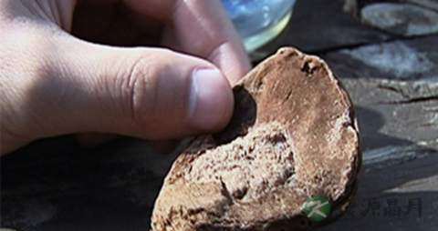 阿魏的药用价值_阿魏的副作用