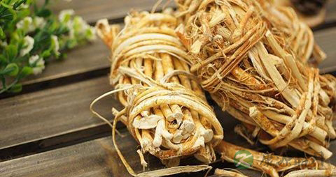 薏苡根的药用价值_薏苡根的副作用