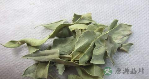 罗布麻叶的药用价值_罗布麻叶的副作用