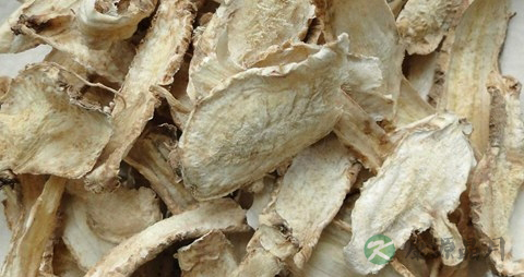 桔梗的药用价值_桔梗的副作用