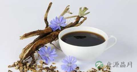 菊苣的功效与作用