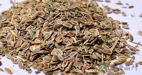 七里香的药用价值_七里香的副作用