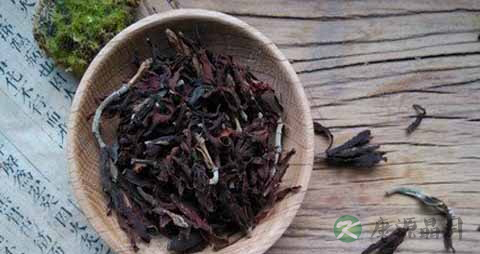 玉兰花的药用价值_玉兰花的副作用