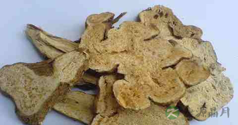 白术的功效与作用