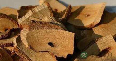猕猴桃根的药用价值_猕猴桃根的副作用