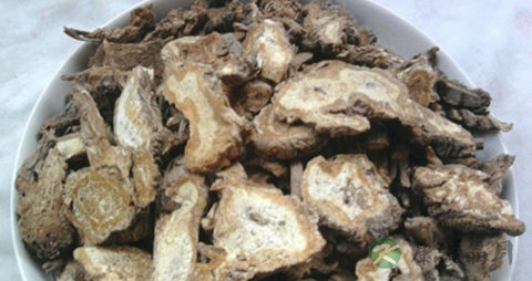 独活的药用价值_独活的副作用