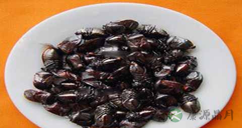 九香虫的药用价值_九香虫的副作用
