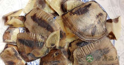 龟甲的药用价值_龟甲的副作用