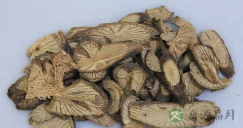 青风藤的药用价值_青风藤的副作用