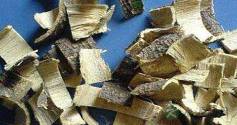 合欢皮的药用价值_合欢皮的副作用