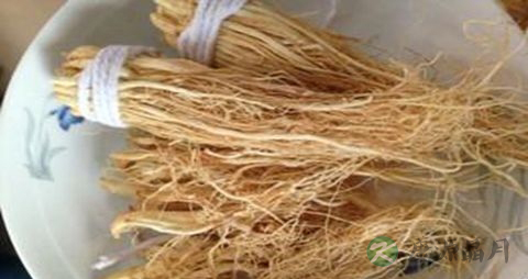 参须的药用价值_参须的副作用