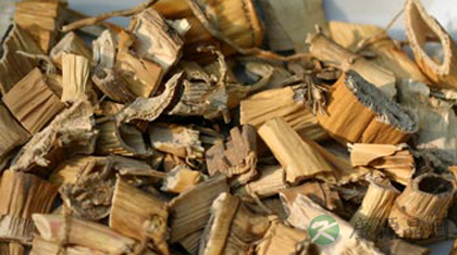 芦根的功效与作用_芦根的药用价值