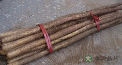 淮山药的功效与作用